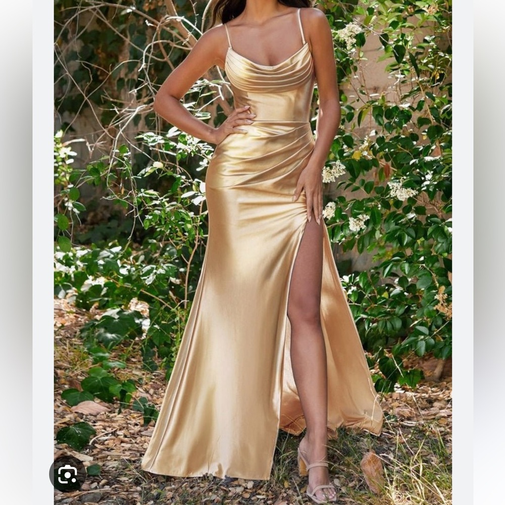 ⭐️Amanda Uprichard maxi dress gown champagne cinched⭐️